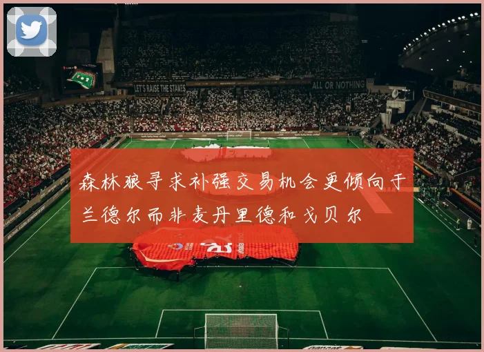 森林狼寻求补强交易机会更倾向于兰德尔而非麦丹里德和戈贝尔