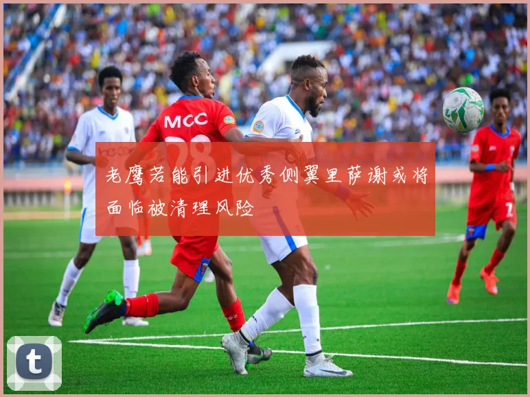 老鹰若能引进优秀侧翼里萨谢或将面临被清理风险